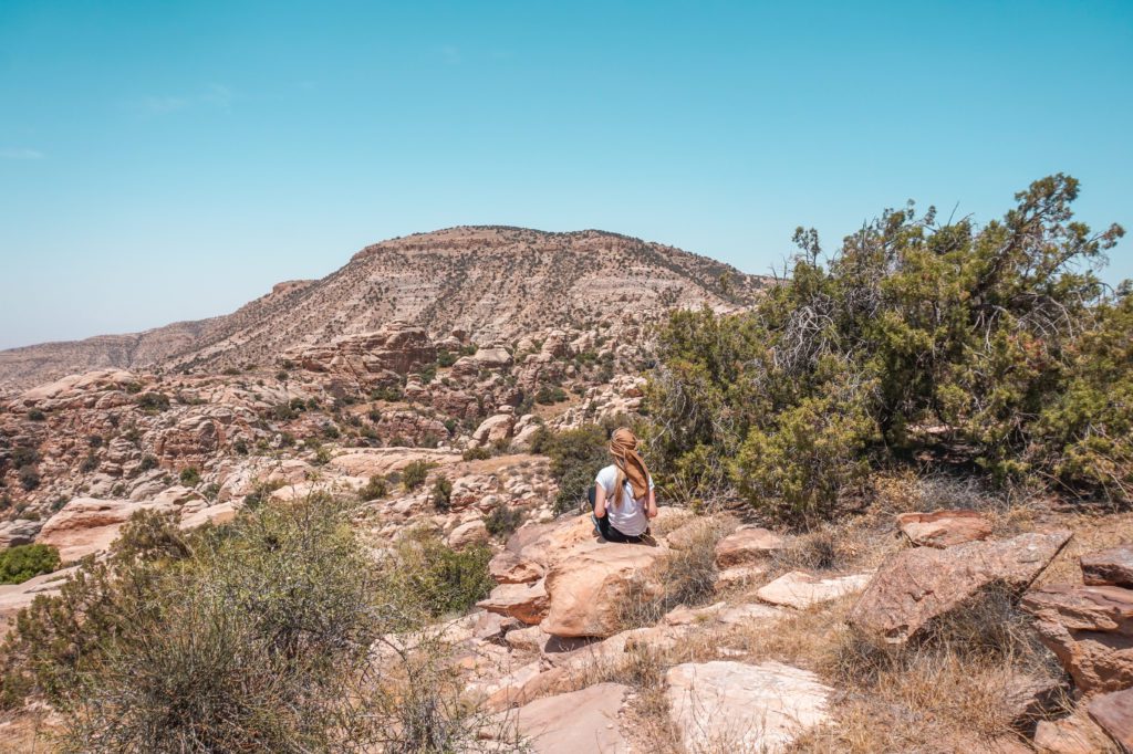Reserve Naturelle de Dana Jordanie