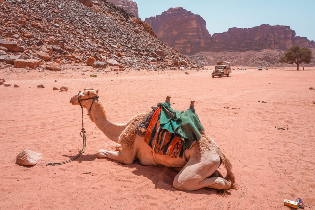 Désert du Wadi Rum
