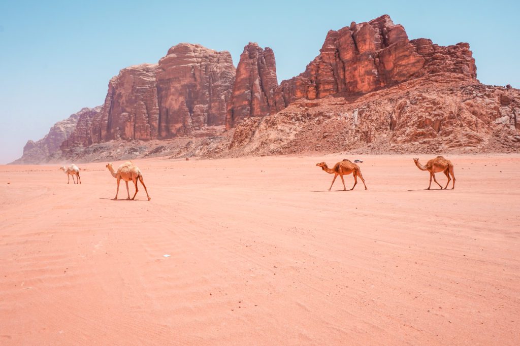 Désert du Wadi Rum