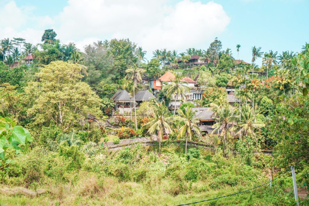 Campuhan Ridge Walk
