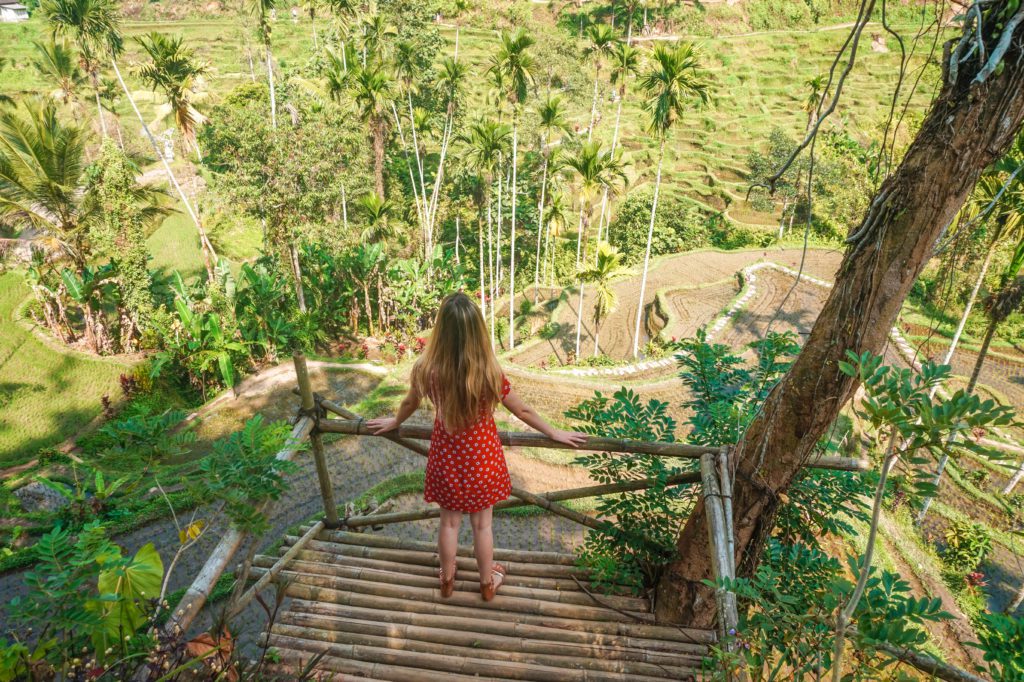 Tegaland Rice Terrace
Voyage : 15 jours en Indonésie