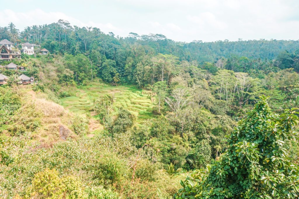 Bali Pulina 
Voyage : 15 jours en Indonésie