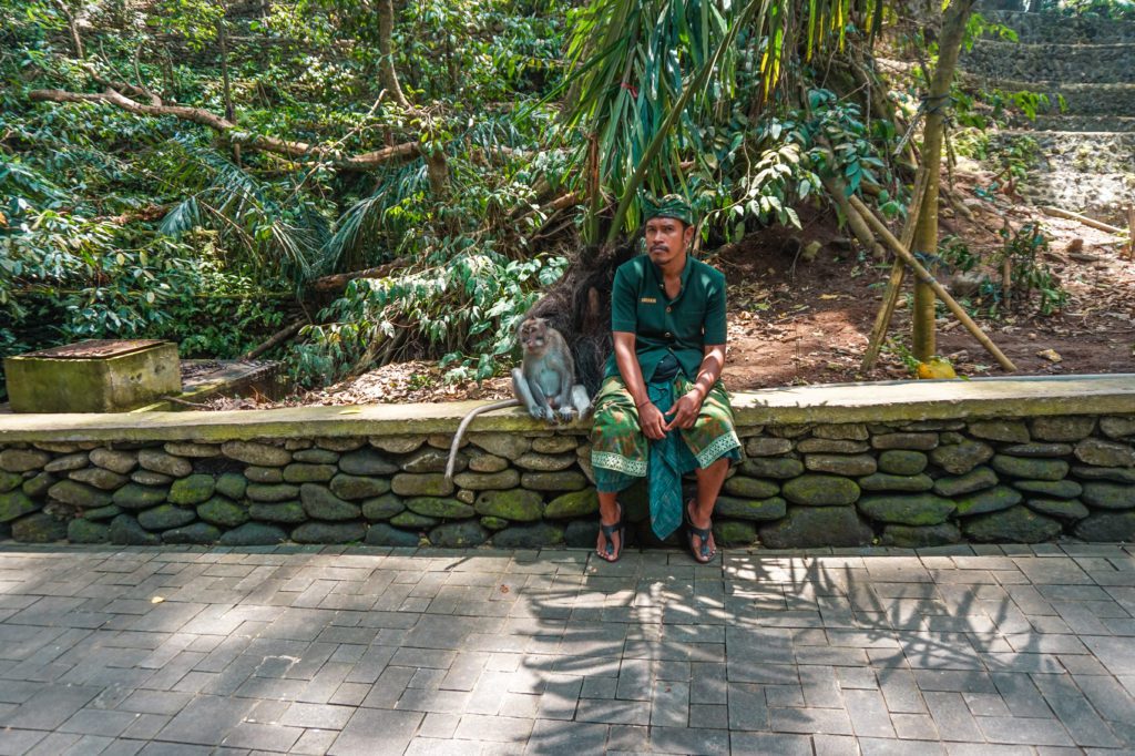 Monkey Forest