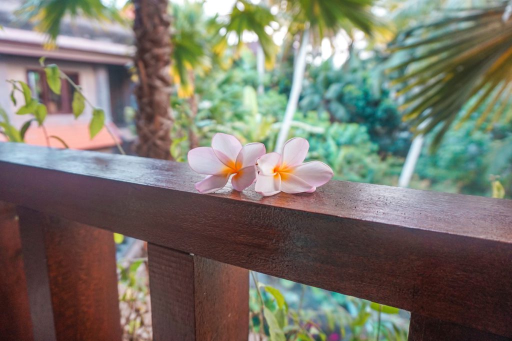 Bali Voyage : 15 jours en Indonésie