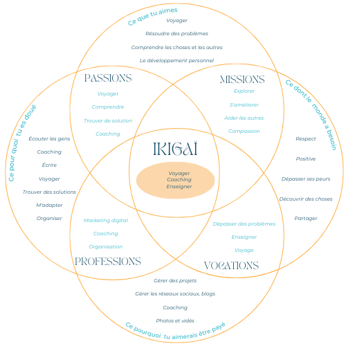 Ikigaï rempli exemple