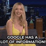 Google has a lot of information