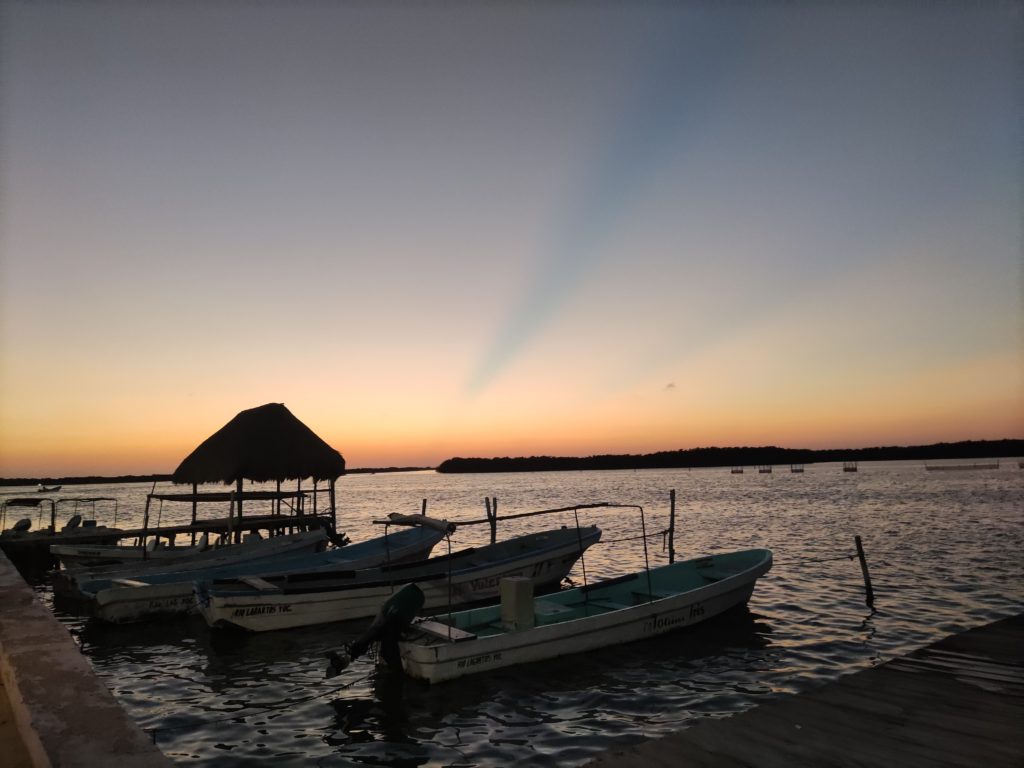 Mexique Rio Lagartos