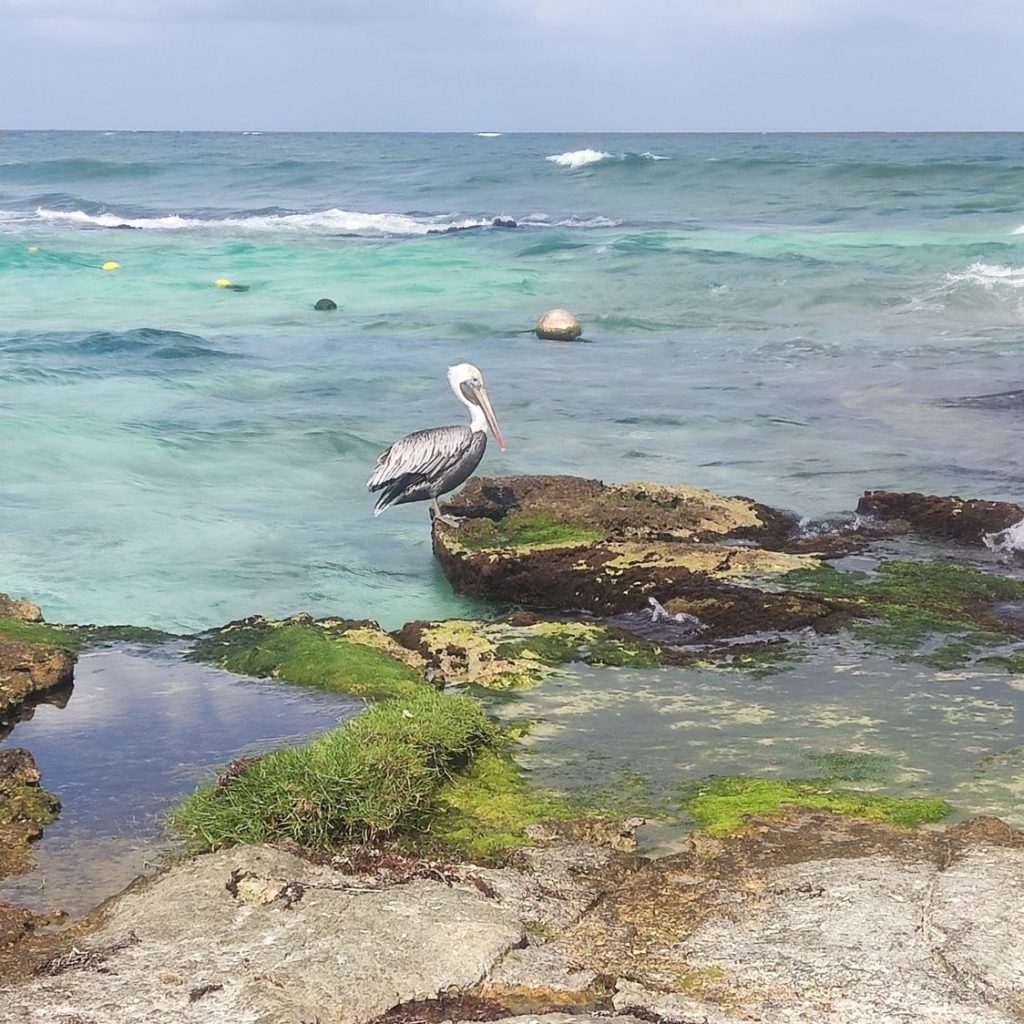 Mexique Caleta Tankha Beach.