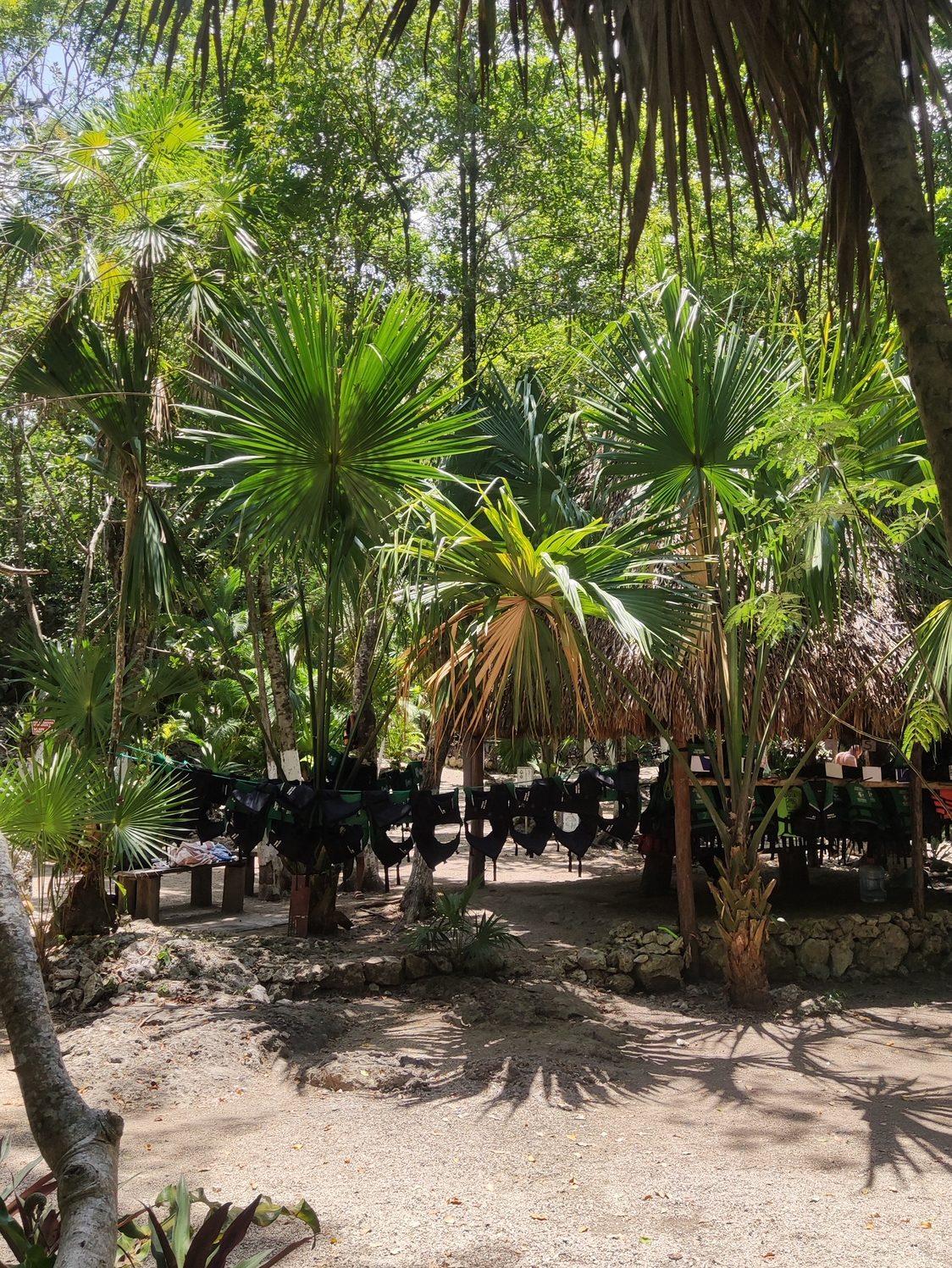 Cenote Dos Ojos Mexique