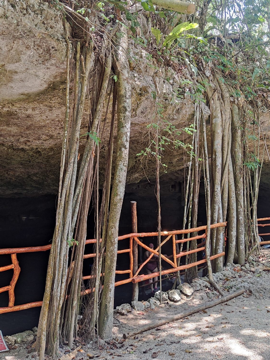 Cenote Dos Ojos. Mexique
