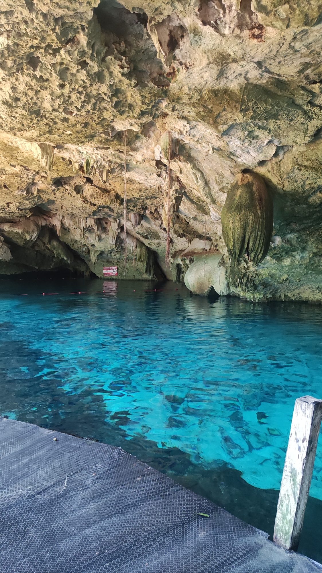 Cenote Dos Ojos Mexique