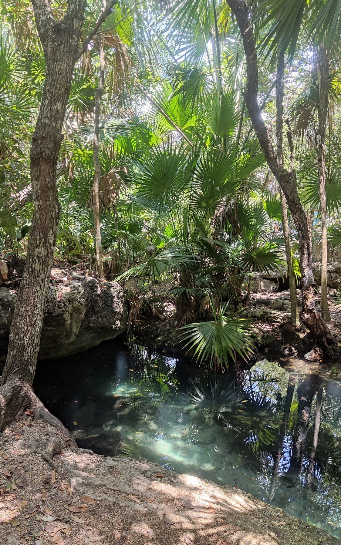 Cenote Azul