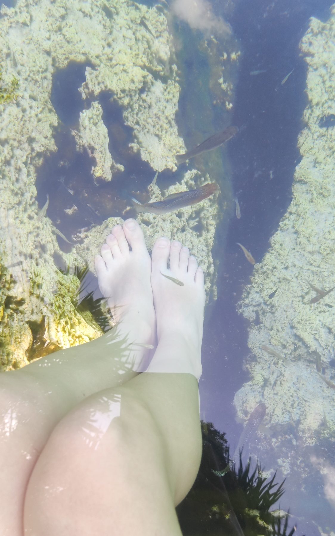 Cenote Azul Mexique