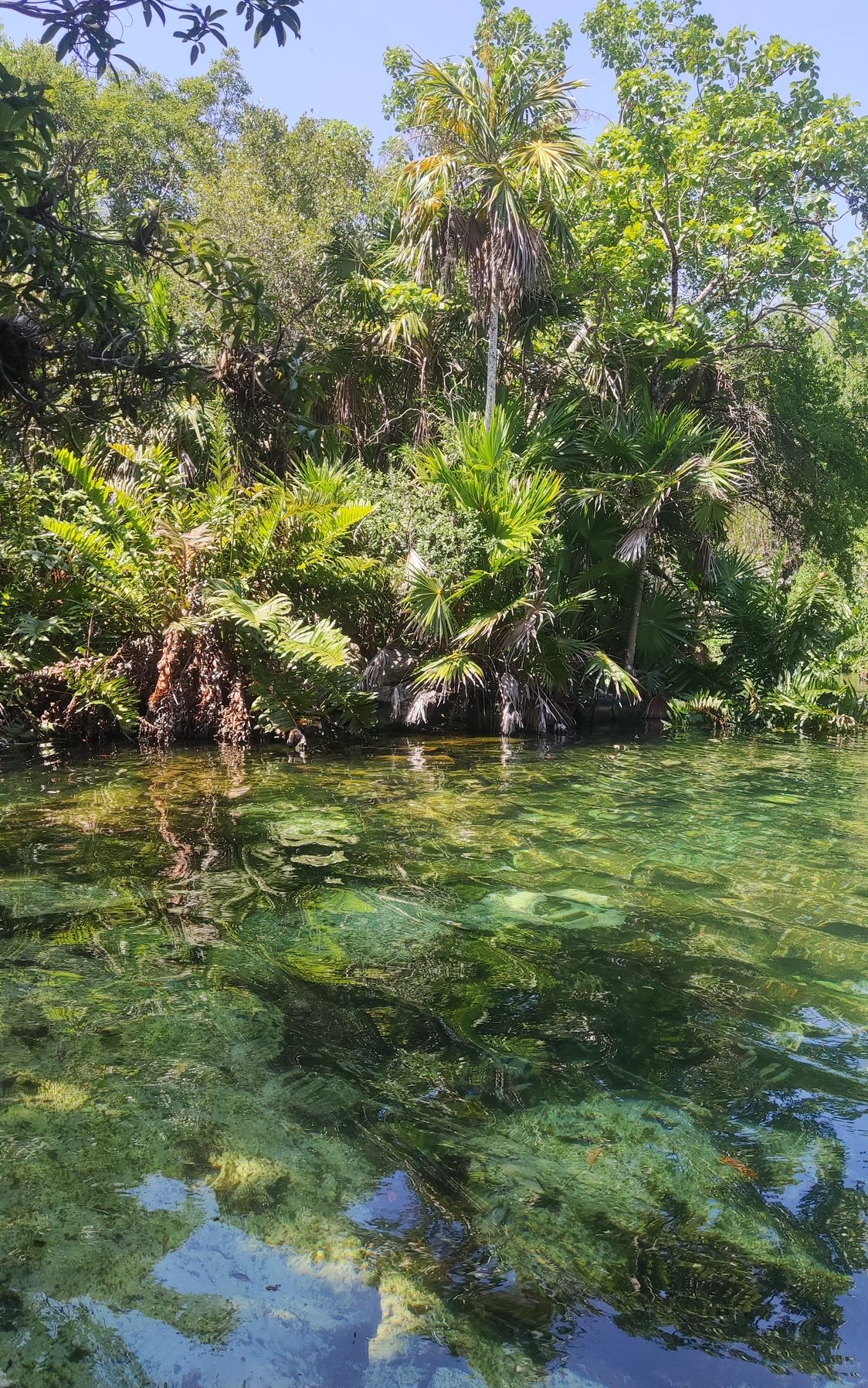 Cenote Azul Mexique
