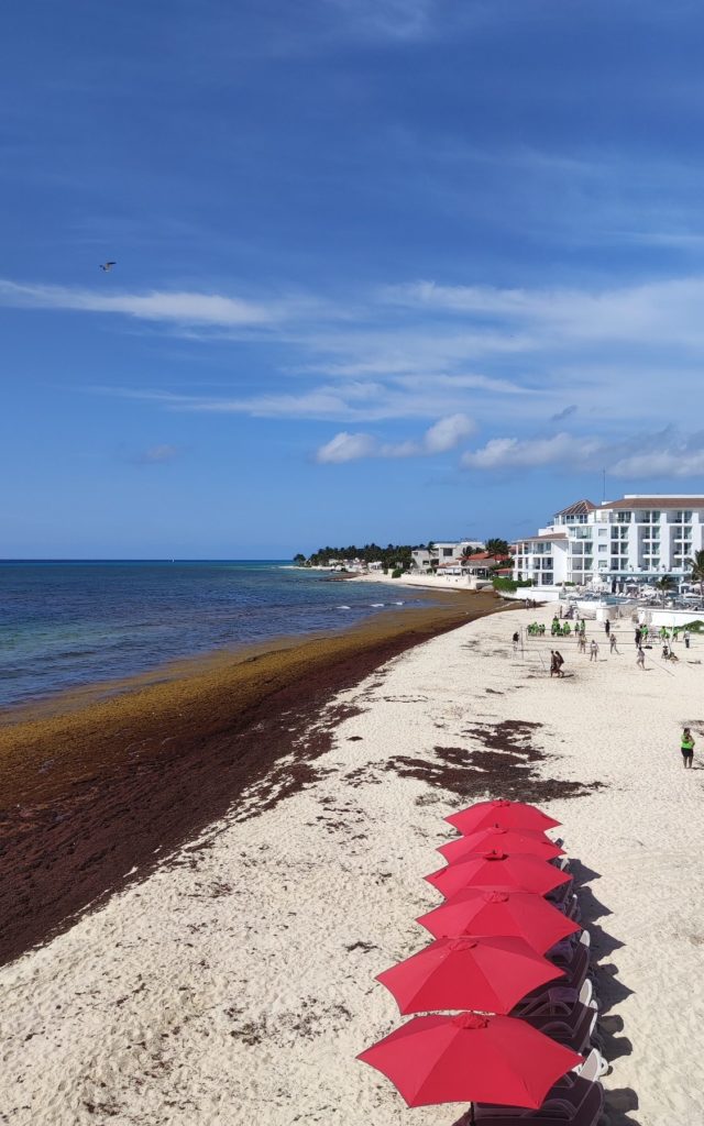 Playa del carmen Mexique