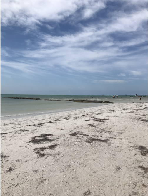Mexique Holbox