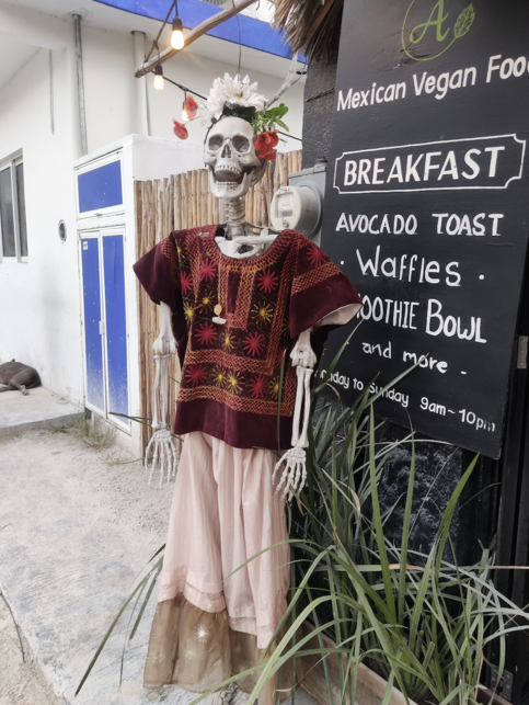 Mexique Arte Sano, Vegan Restaurant breakfast, Brunch & Dinner