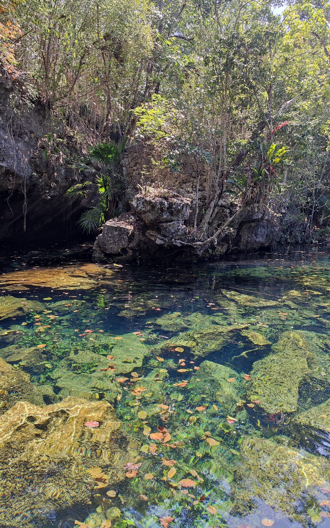 Cenote Chikin Ha