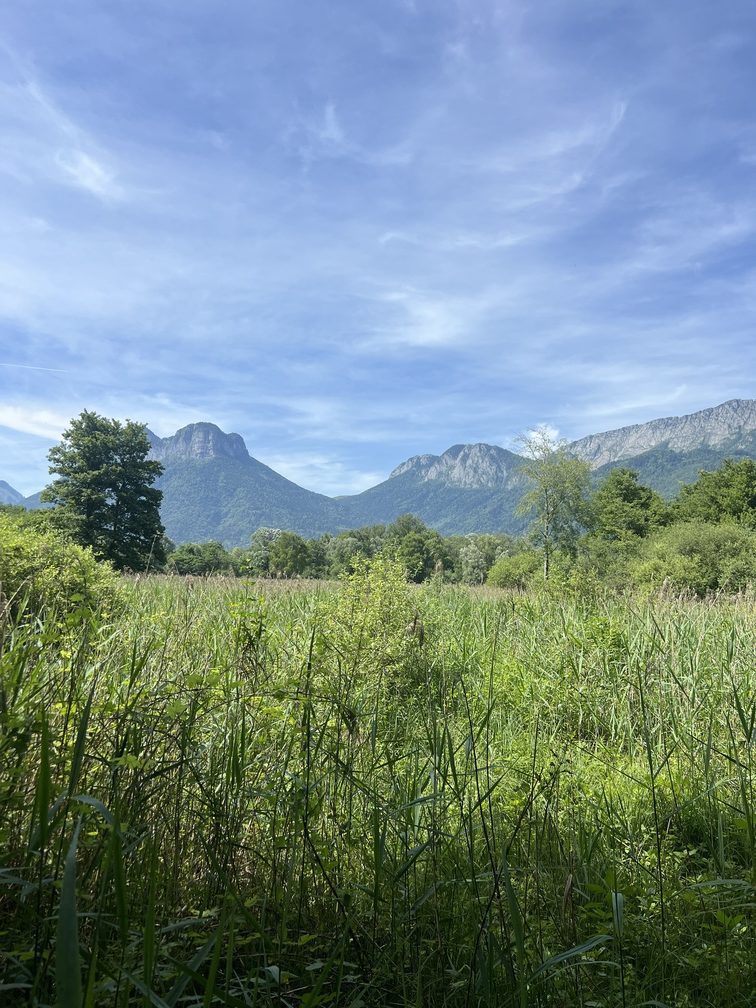 IMG_9274Annecy Annecy