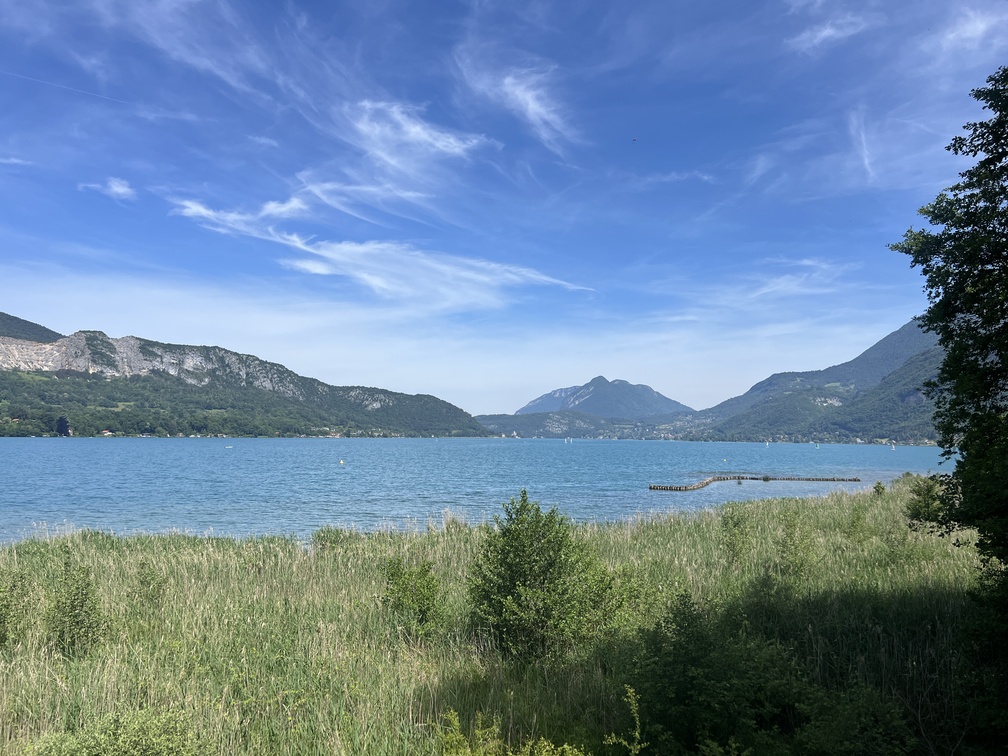 IMG_9277Annecy Réserve Naturelle Nationale du Bout du Lac d'Annecy
