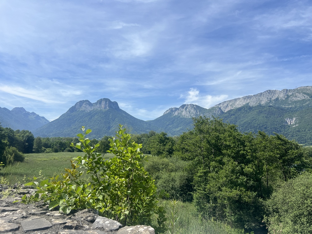 IMG_9286Annecy Réserve Naturelle Nationale du Bout du Lac d'Annecy