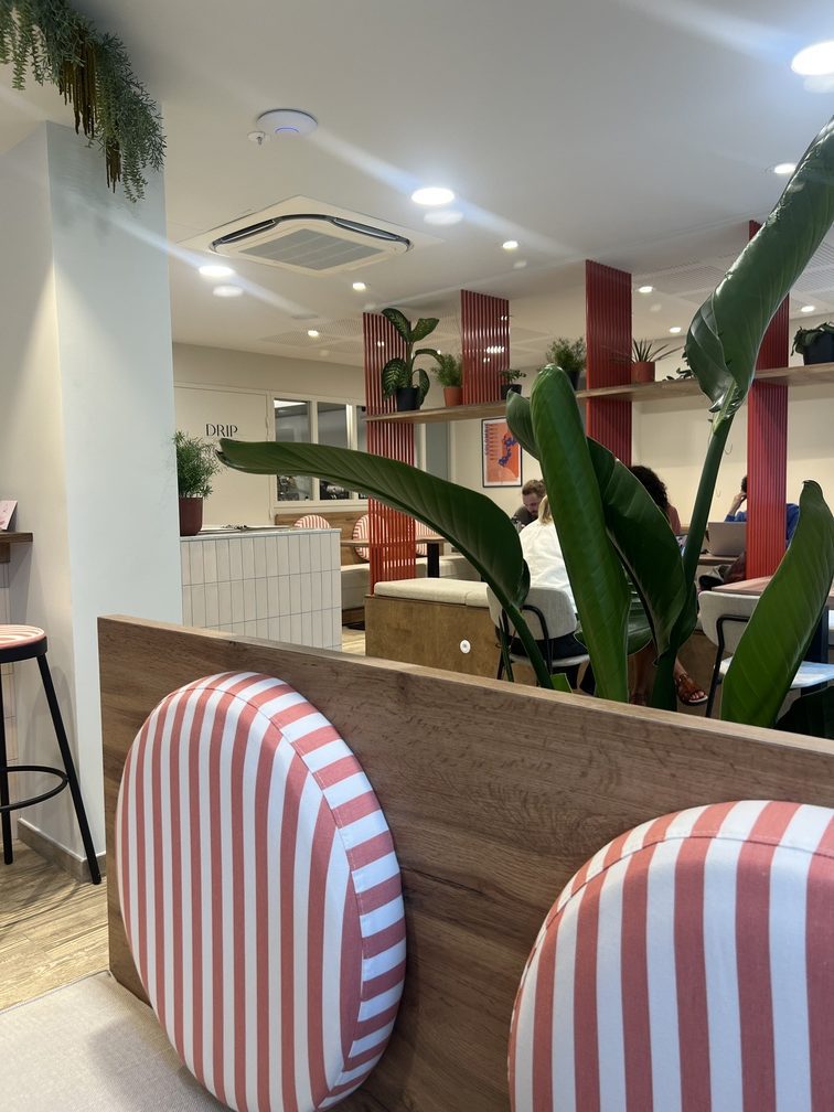 IMG_9553Annecy Drip Annecy