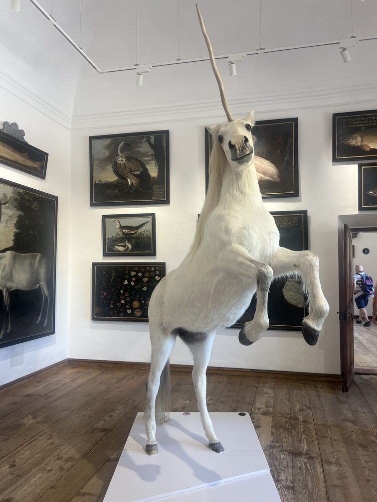 IMG_2586Salzbourg Salzbourg